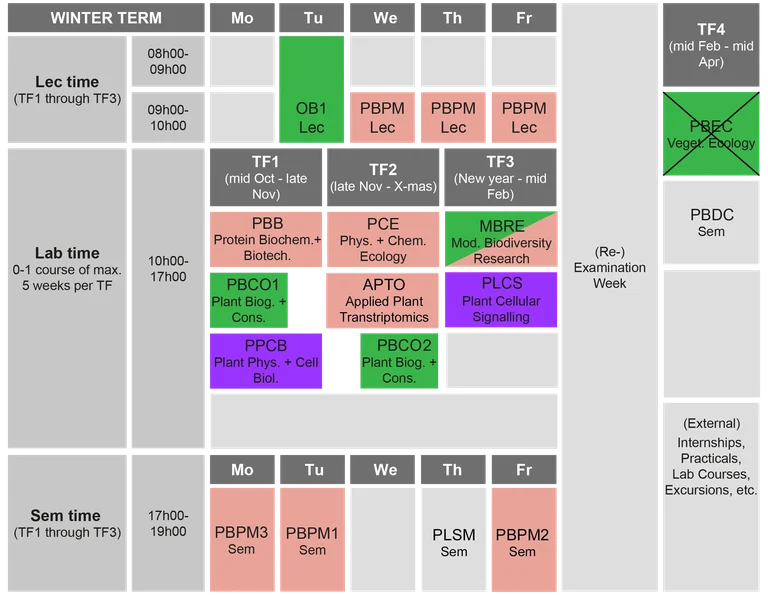 winter term.png