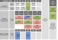 summer term.png