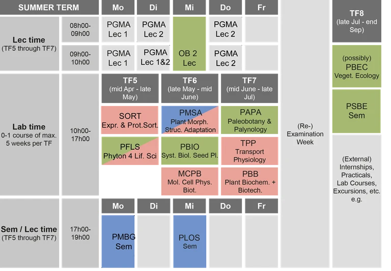summer term.png