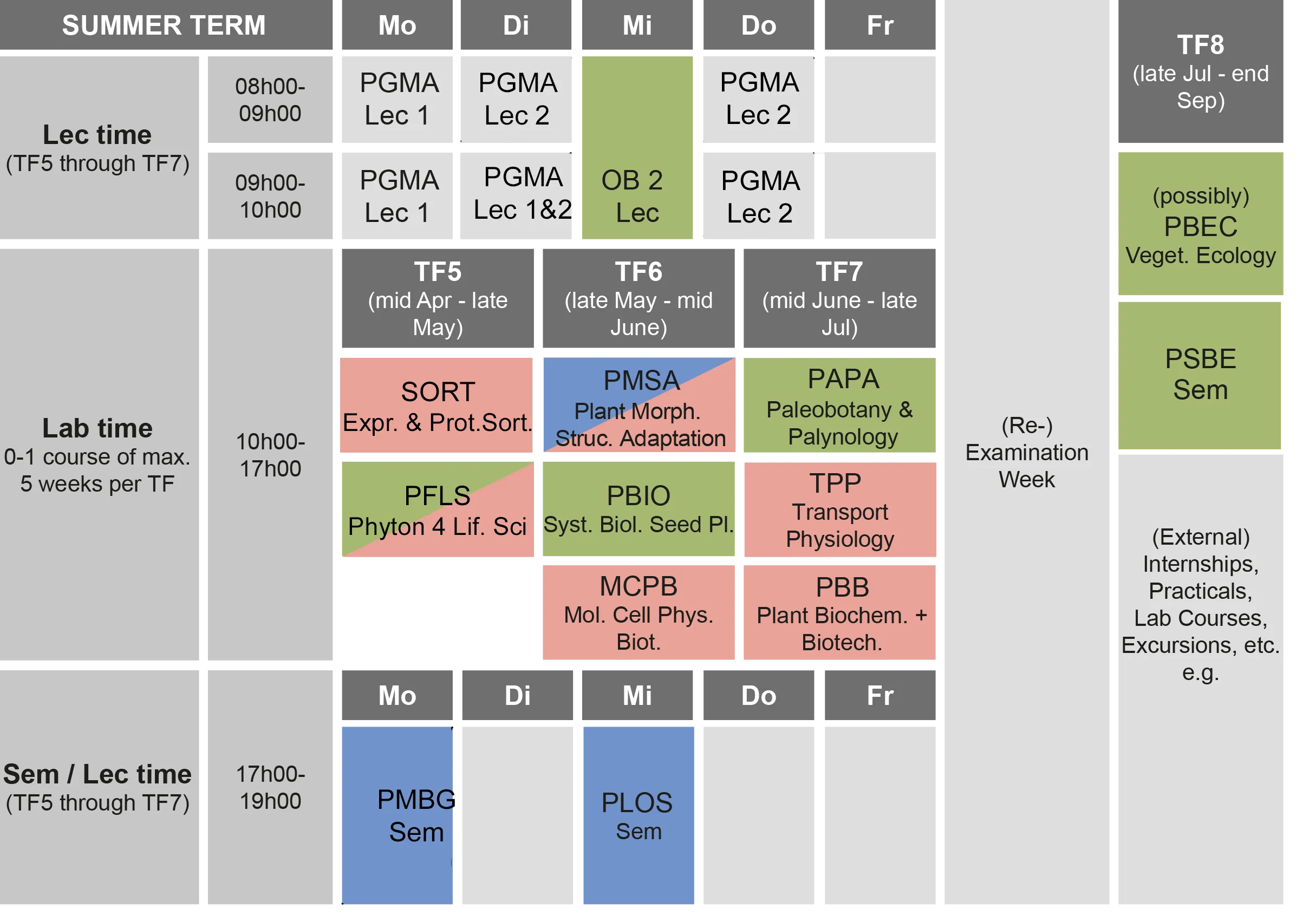 summer term.png