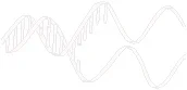 image001.gif