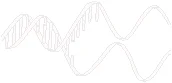 image001.gif