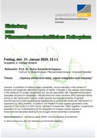 Vortrag_Schmidt-Schippers.pdf