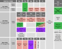 winter term.png