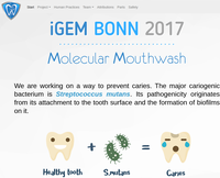 iGEM_Bonn2017.png