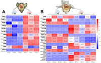victoria_preprint_heatmap.png
