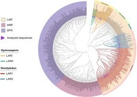 2025-08-23_LAR_preprint_news.png