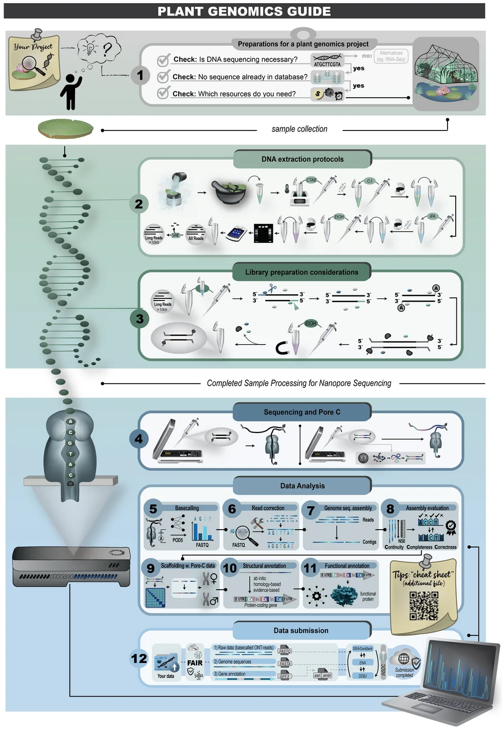 2025-08-23_ONT_preprint.png