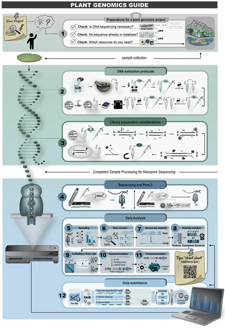 2025-08-23_ONT_preprint.png
