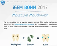 iGEM_Bonn2017.png