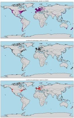 Digitalis distribution