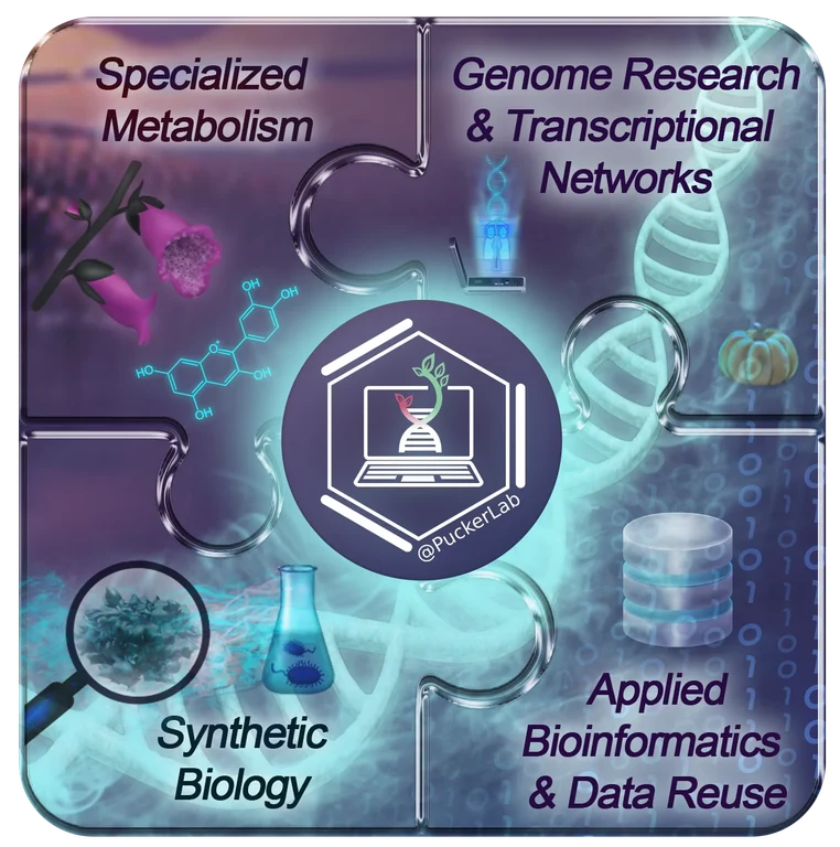 puckerlab_overview.png