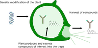 SNM_graphicalabstract.png
