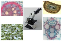 BIO-04_2024.jpg
