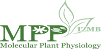 Logo_Kopfgrafik.png