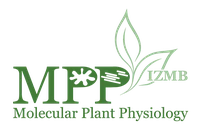 Logo_medium_size 2.png