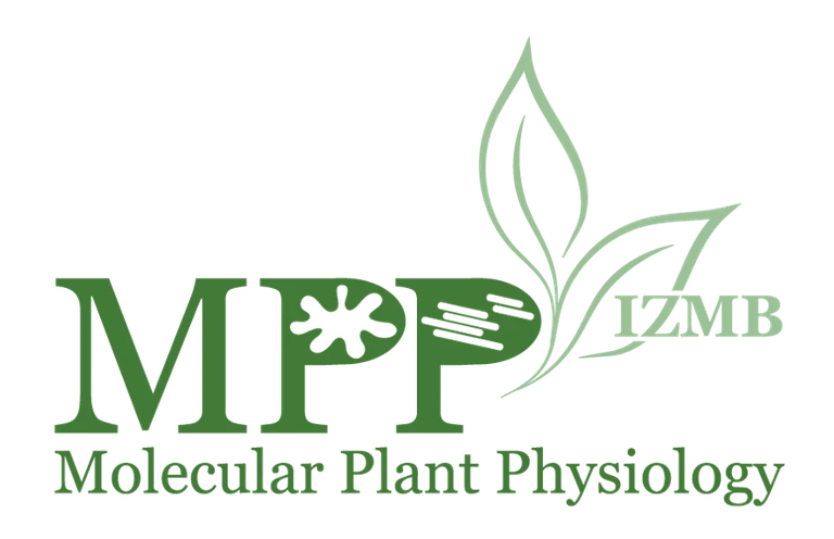Logo_medium_size 2.png