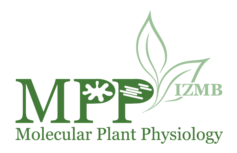 Logo_medium_size 2.png