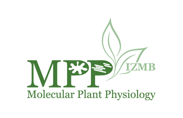 Logo_medium_size 3.png