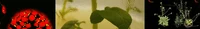 Forschung.jpg